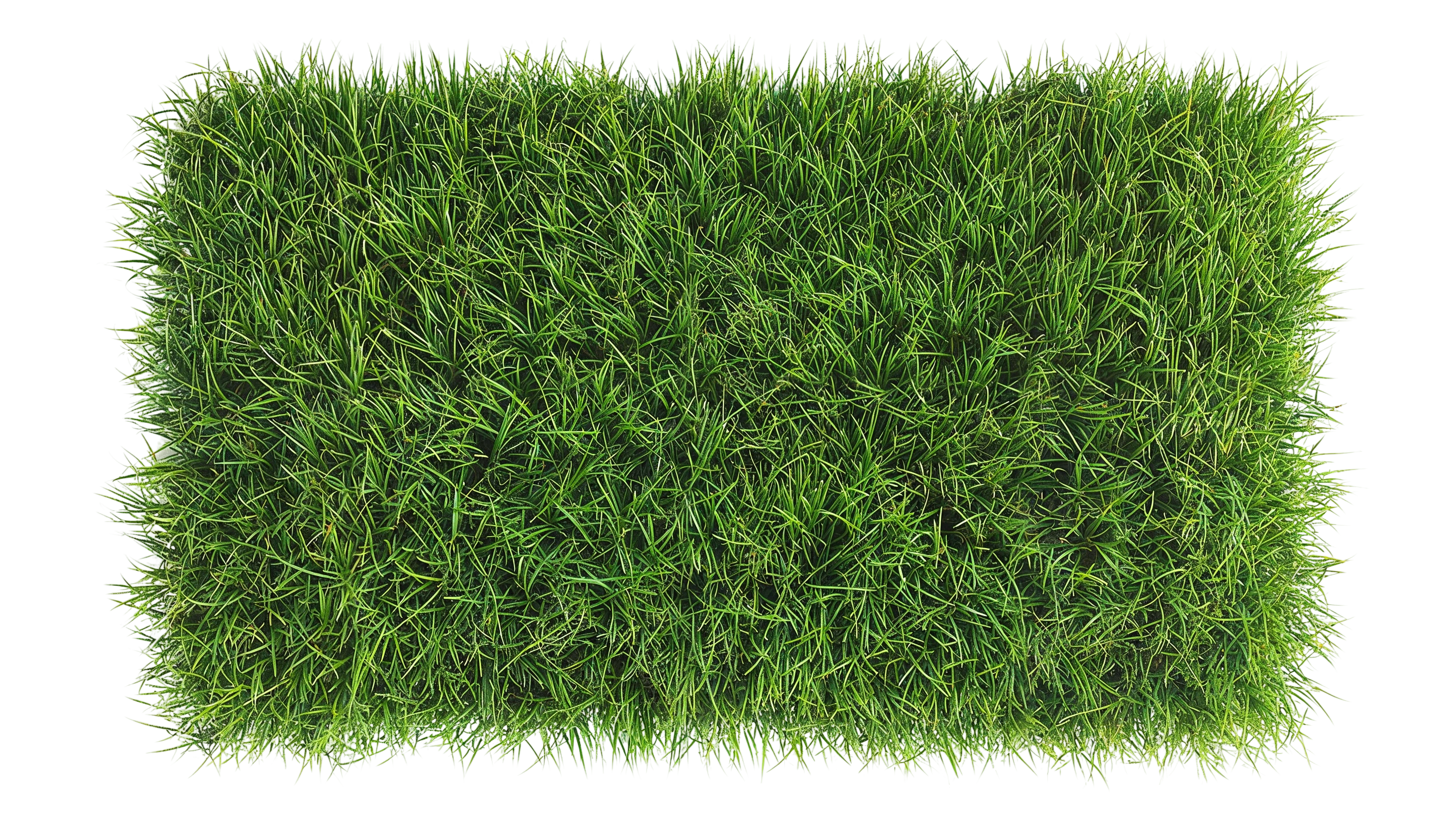 Herbes