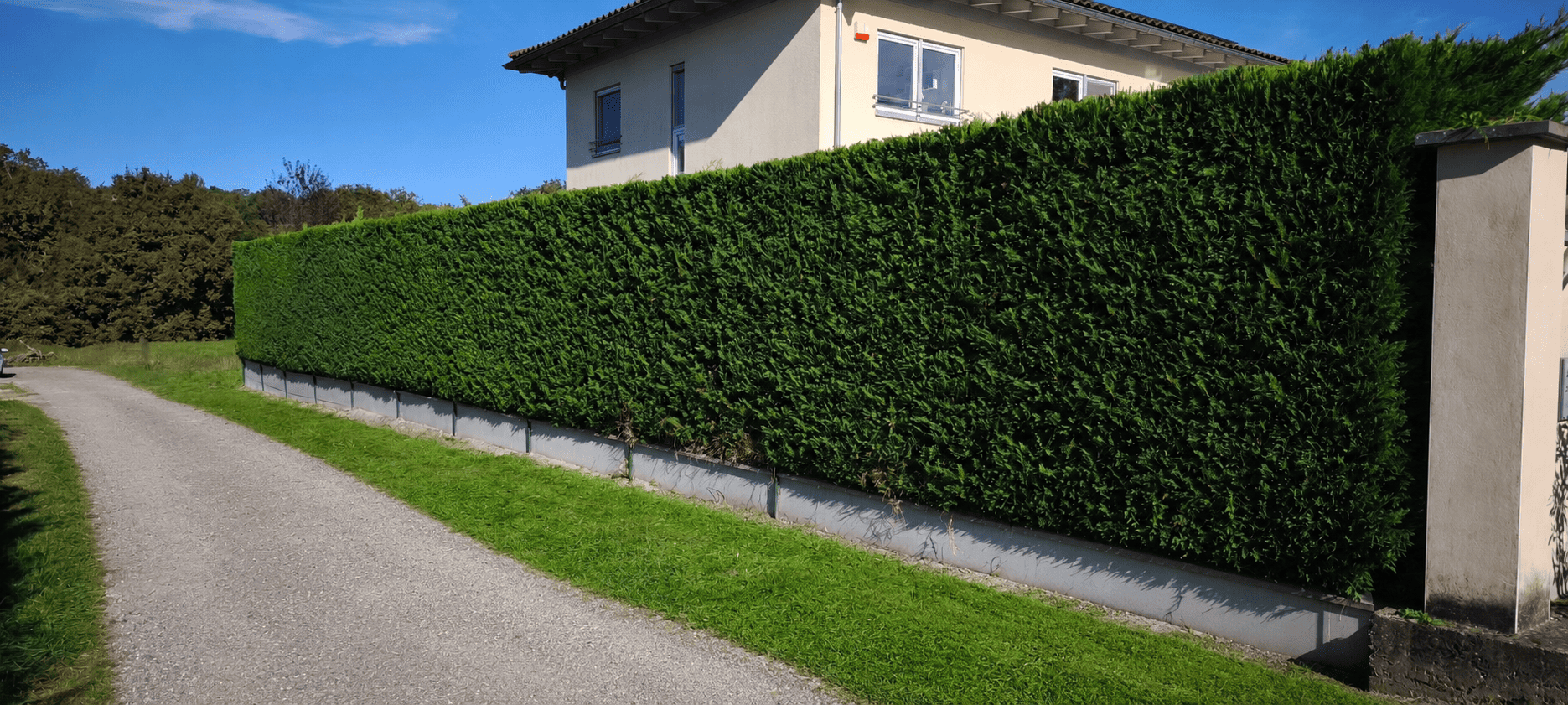 Entretien de jardin