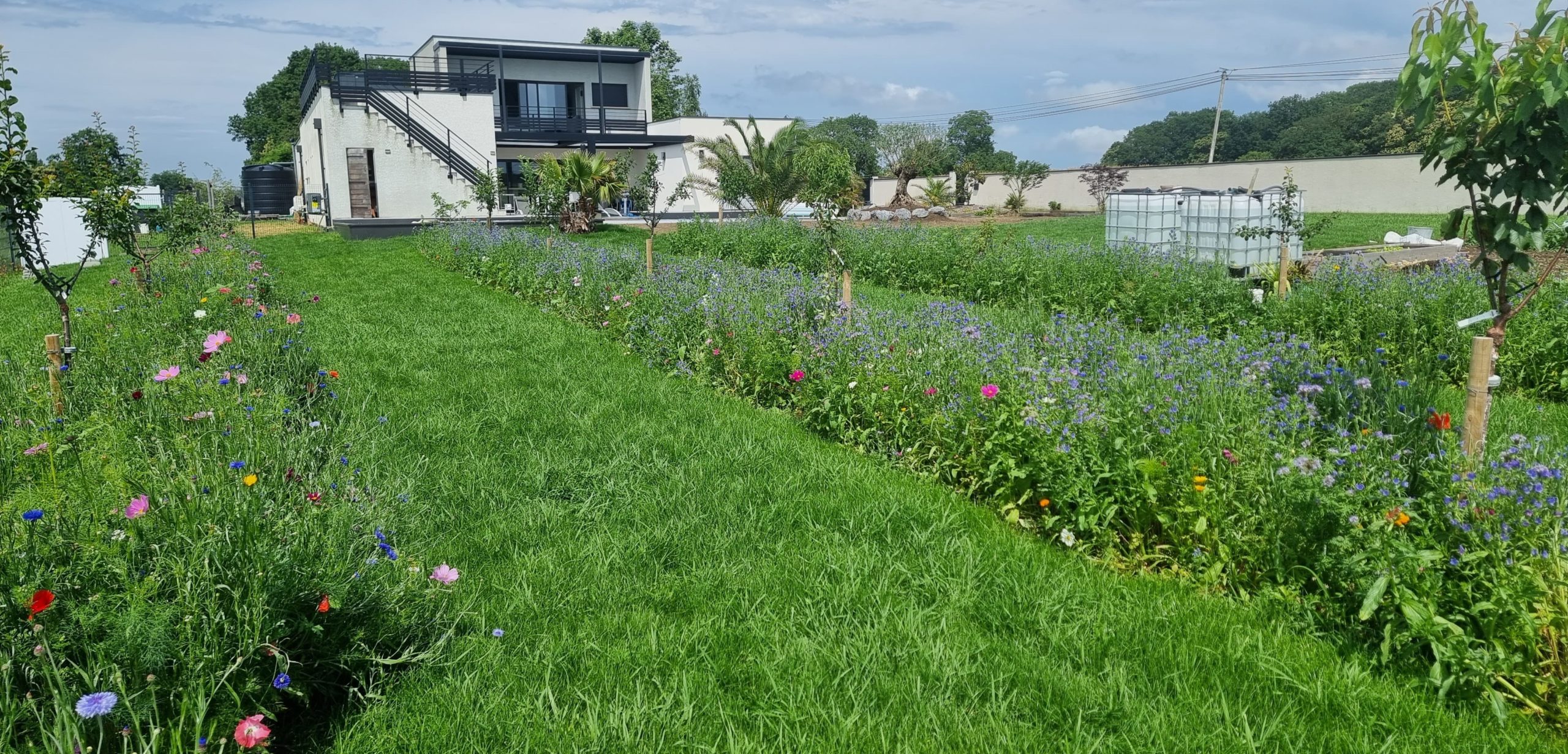 Création d'un jardin cohérent